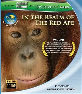 狂野亚洲：赤猿的领地海报剧照