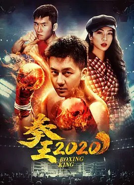 拳王（2020）海报剧照