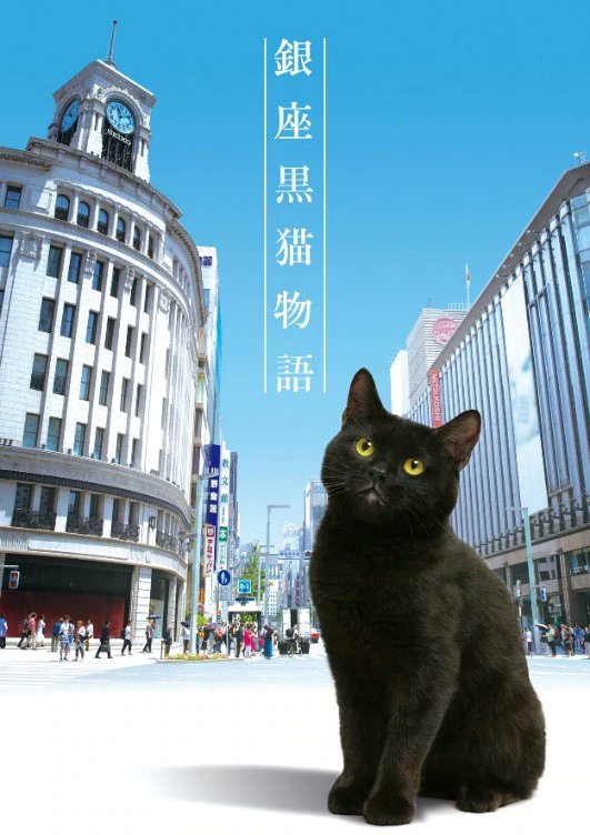 银座黑猫物语海报剧照