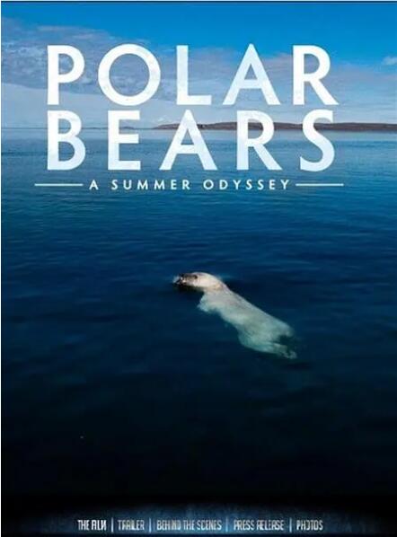 北极熊:一个夏天的奥德赛
