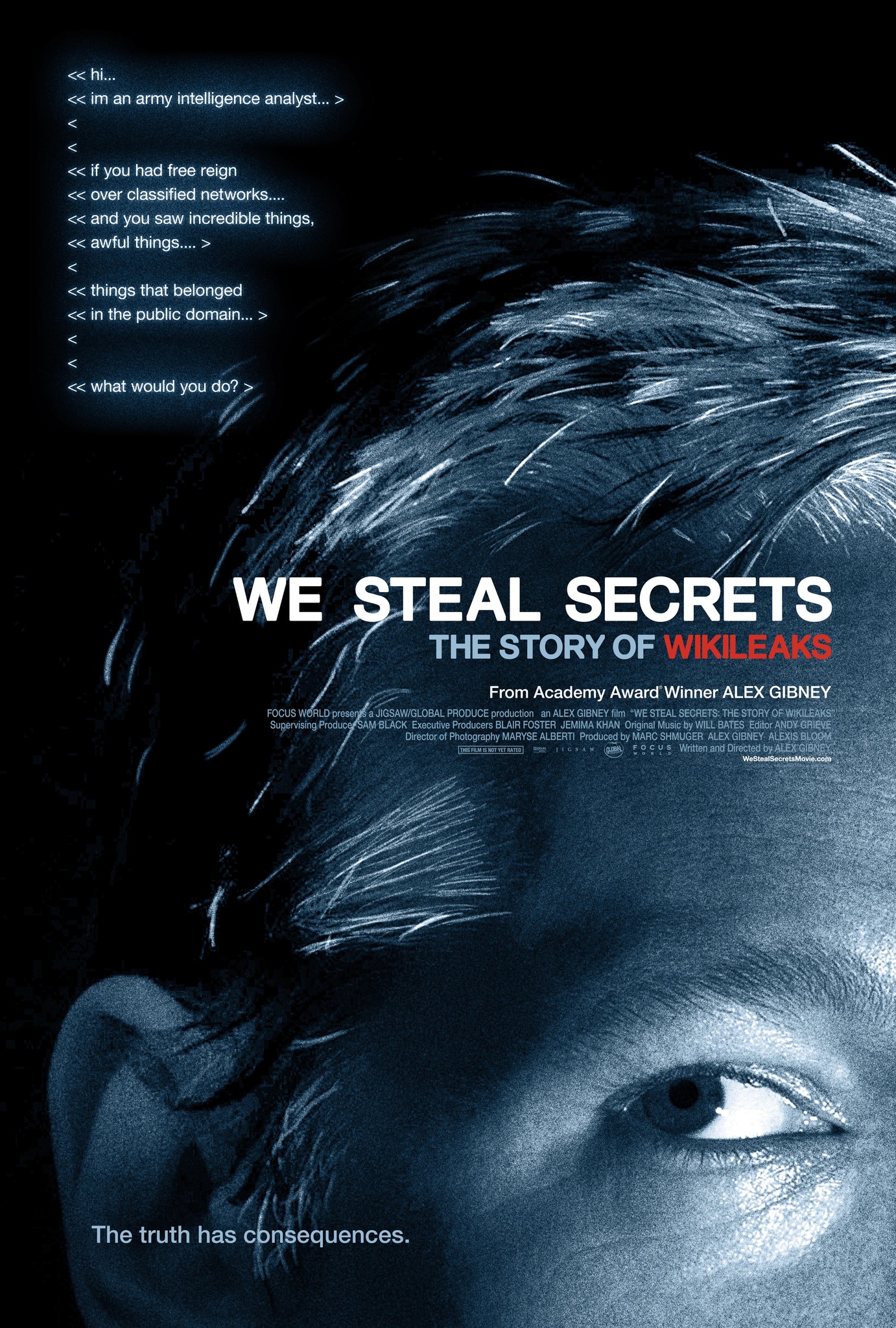 We Steal Secrets海报剧照