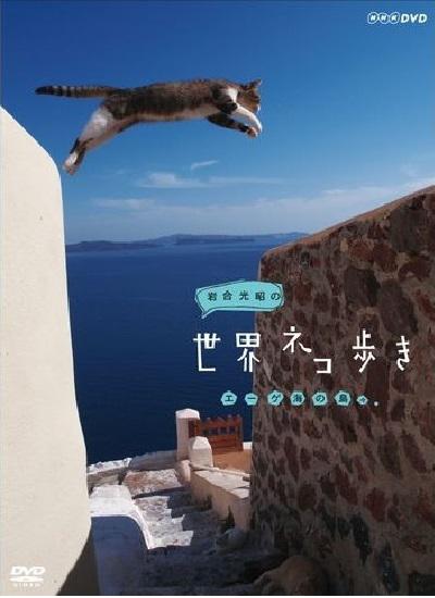 岩合光昭的猫步走世界海报剧照