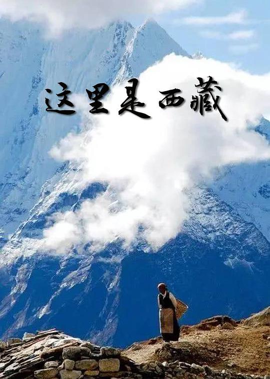 这里是西藏海报剧照