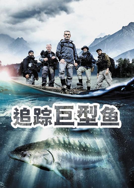 追踪巨型鱼第一季海报剧照