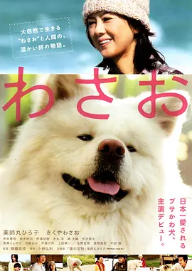 秋田犬蓬夫海报剧照