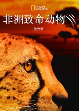 非洲致命动物第六季海报剧照