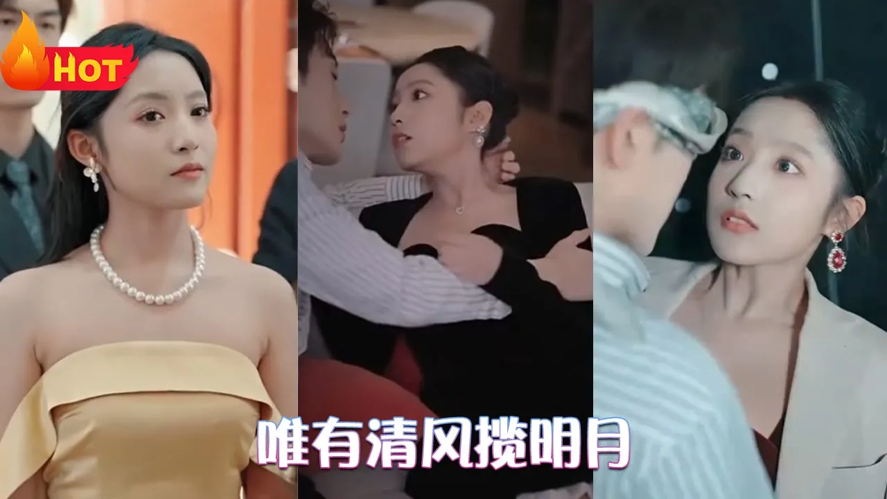 唯有清风揽明月海报