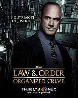 法律与秩序：组织犯罪第四季海报剧照