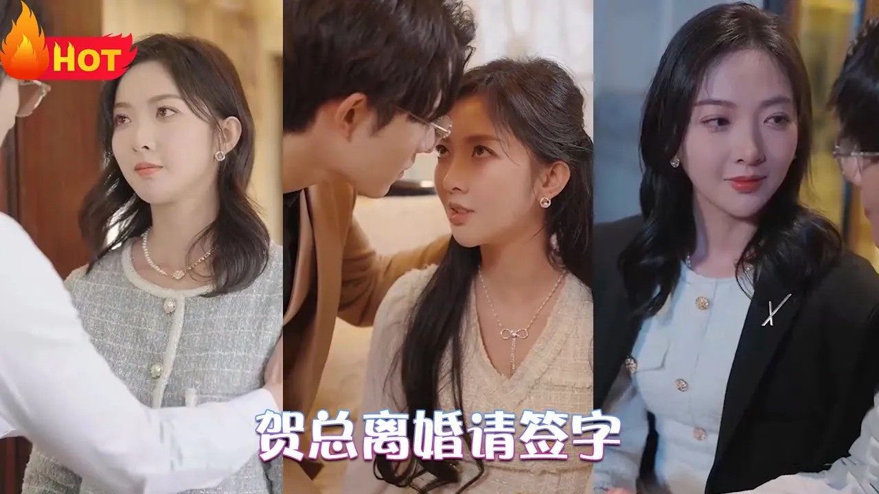 贺总离婚请签字